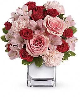 Lively Sparkles - Flowers - Bloomex Australia