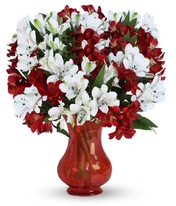 100 Blooms of Holiday Alstroemeria - Christmas Flowers & Gifts - Bloomex Australia