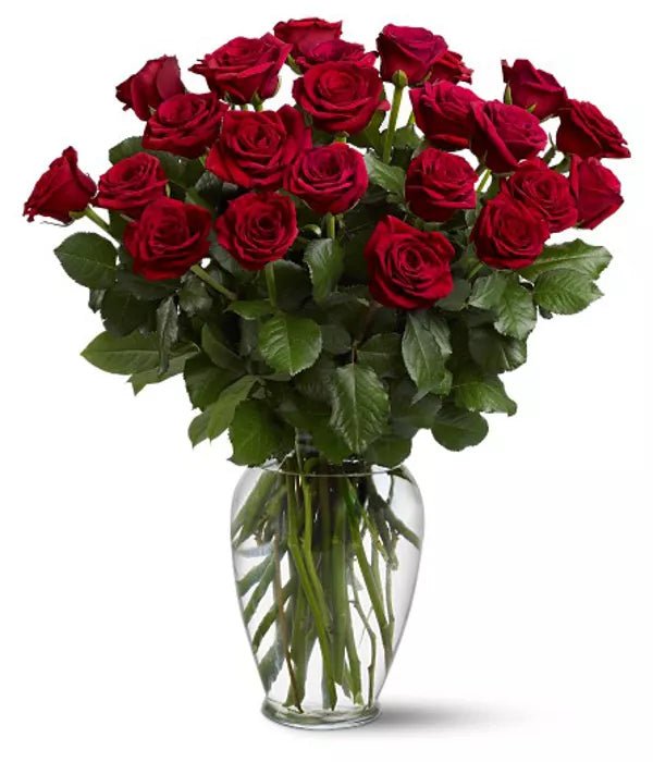 24 Premium Red Roses - Anniversary Gifts - Bloomex Australia