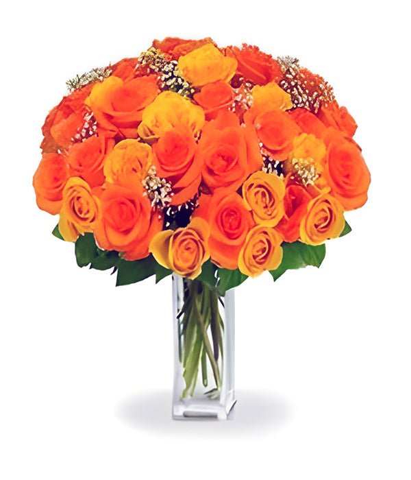 36 Premium Orange Roses - Anniversary Flowers - Bloomex Australia