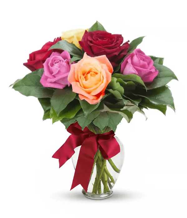 Half Dozen Long Stem Assorted Roses - Roses - Bloomex Australia
