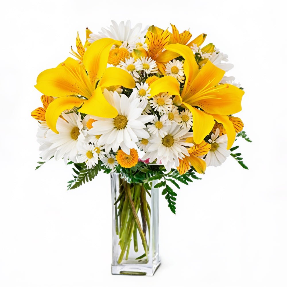 Summer Breeze - Housewarming Flowers - Bloomex Australia