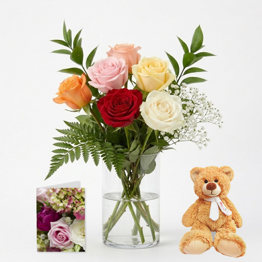 Half Dozen Long Stem Assorted Roses