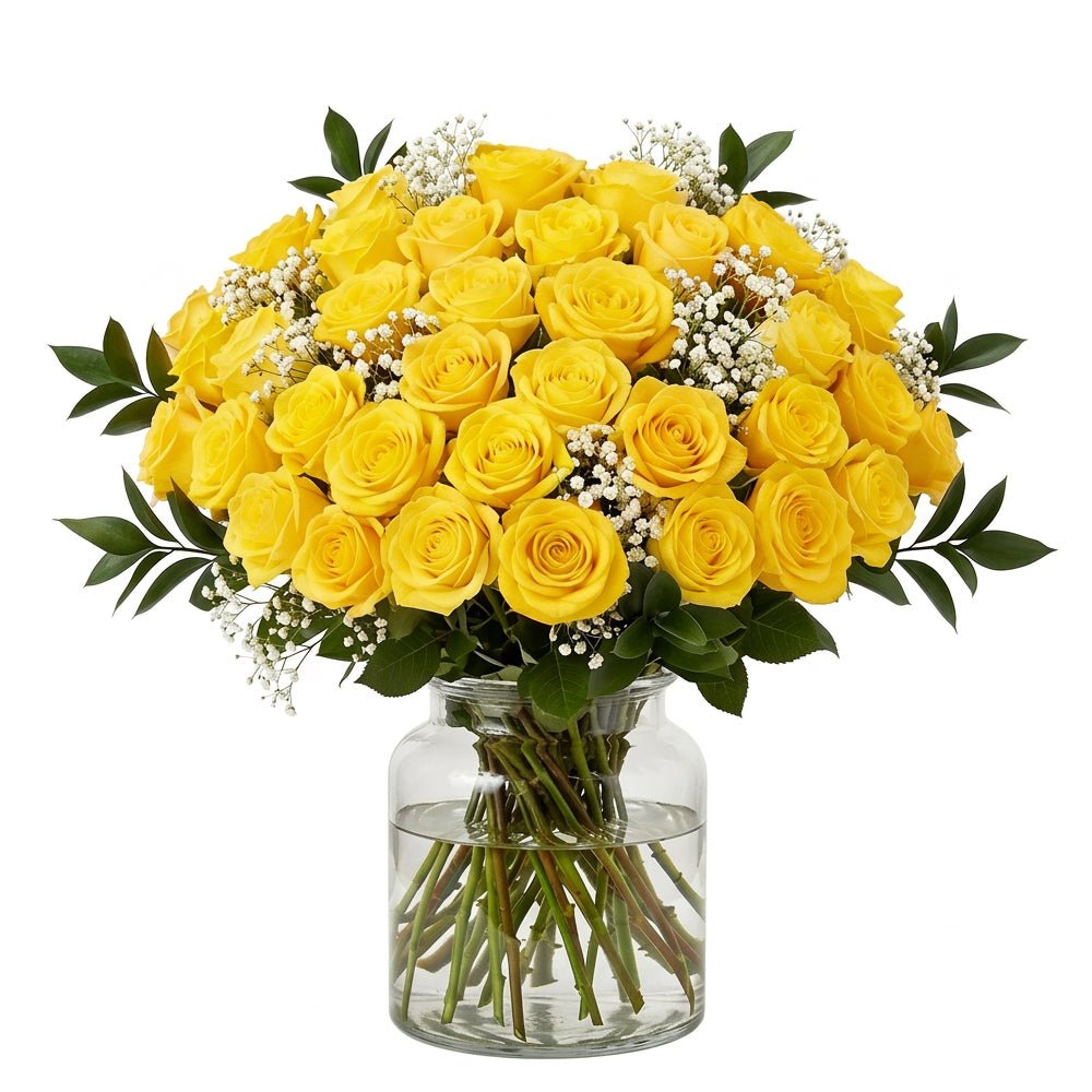 Three Dozen Yellow Roses - Roses - Bloomex Australia