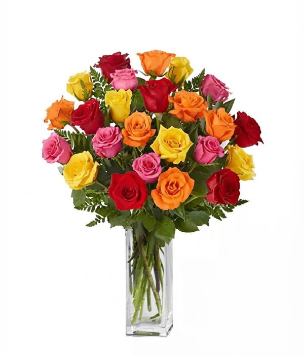 Two Dozen Assorted Roses - Roses - Bloomex Australia