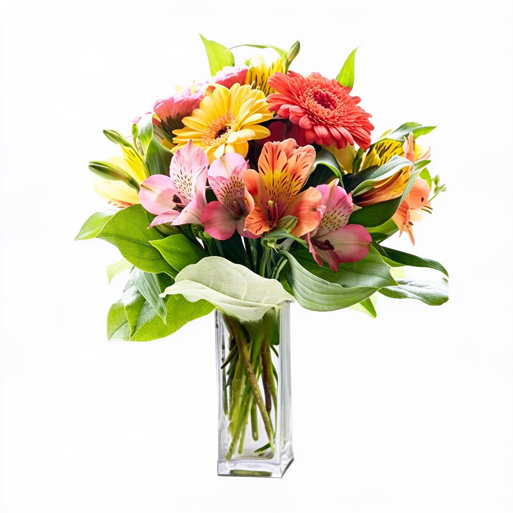 Gerberomeria - Birthday Flowers & Gifts - Bloomex Australia
