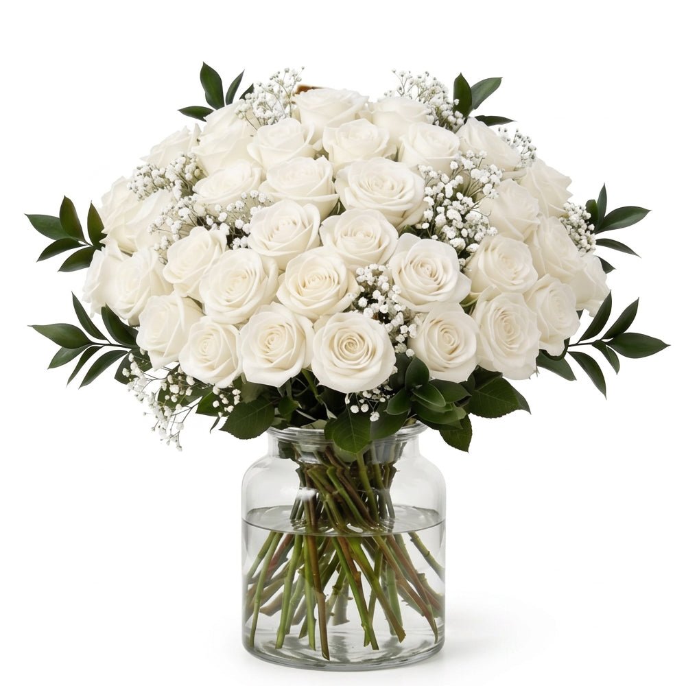 Three Dozen White Roses - Roses - Bloomex Australia