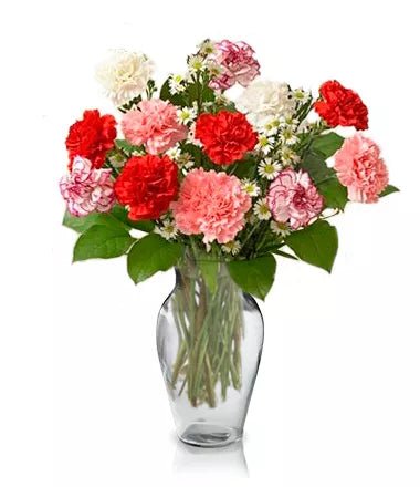 Carnival Bouquet - New Baby Flowers - Bloomex Australia