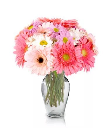 Picturesque - Mother's Day Flowers & Gifts - Bloomex Australia