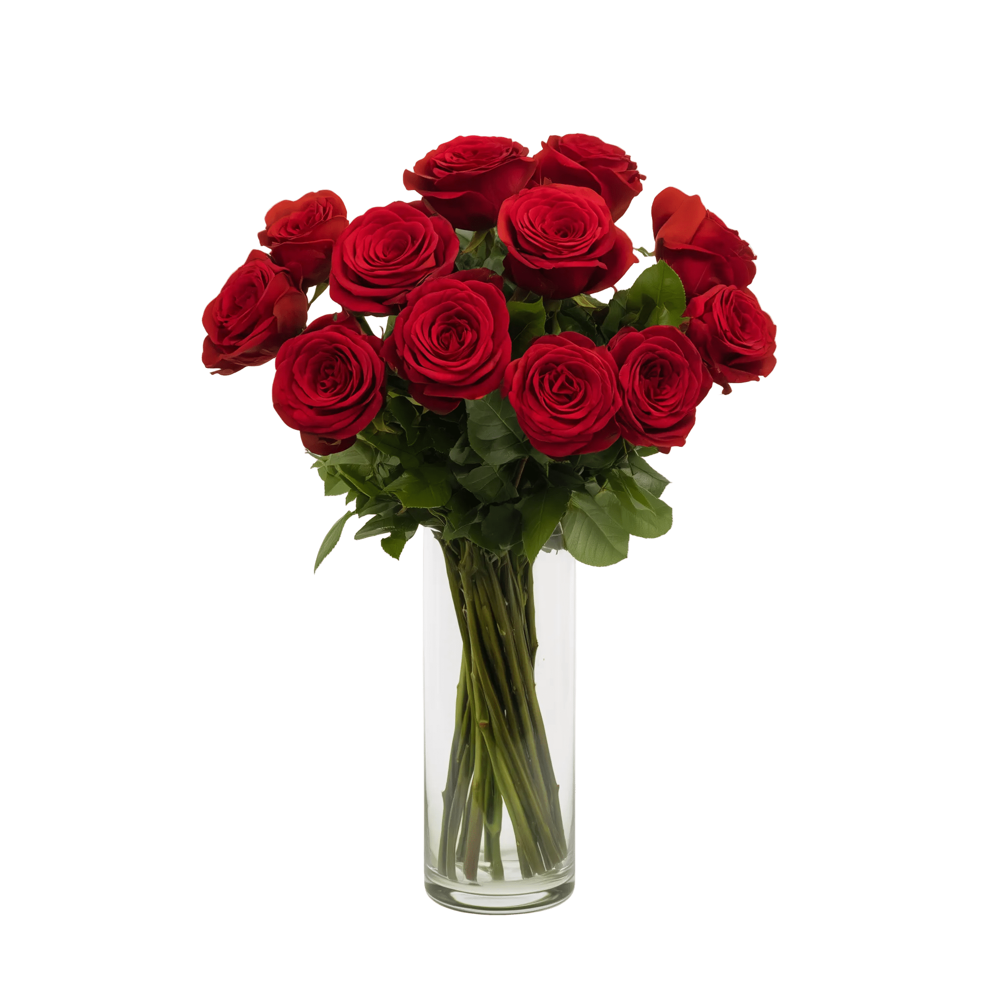 One Dozen Long Stem Red Rose Special - Roses - Bloomex Australia