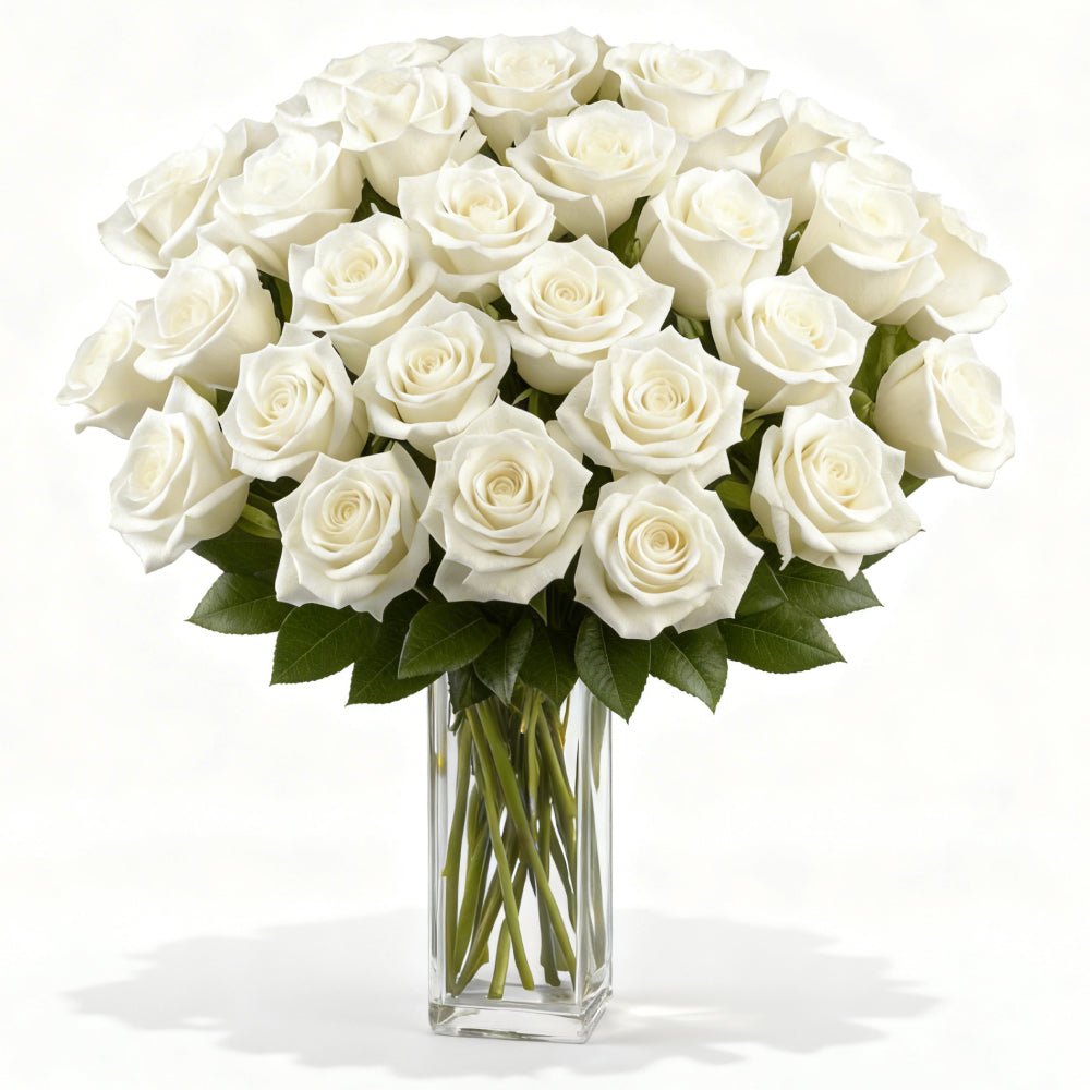 Three Dozen Long Stemmed White Roses - Roses - Bloomex Australia