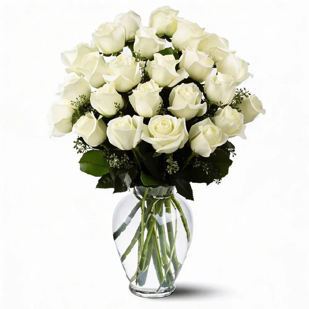 Two Dozen Long Stem White Roses - Roses - Bloomex Australia