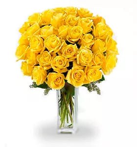 Three Dozen Yellow Roses - Roses - Bloomex Australia