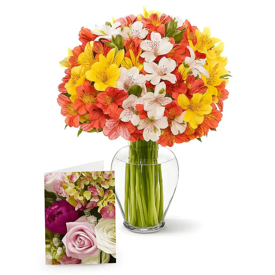100 Blooms of Alstroemeria I - Alstroemeria - Bloomex Australia