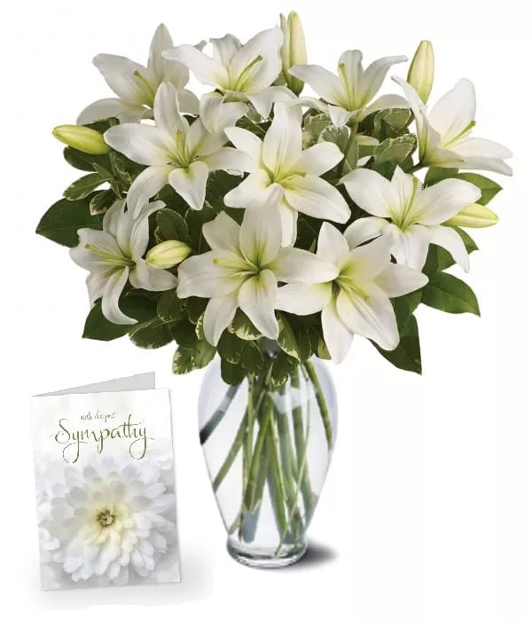 Heavenly Lilies - ANZAC Day - Bloomex Australia