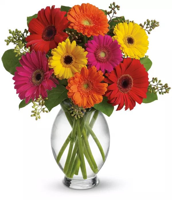 Gerber Brights - Birthday Flowers & Gifts - Bloomex Australia