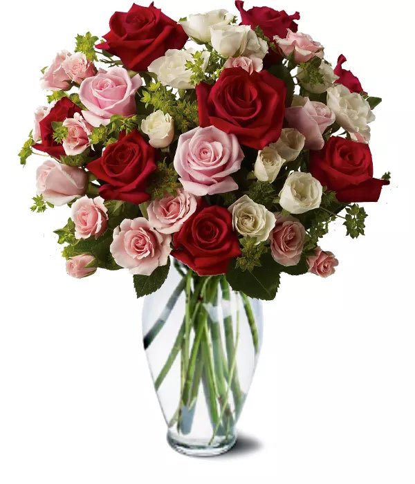 Rose Orchestra - Roses - Bloomex Australia