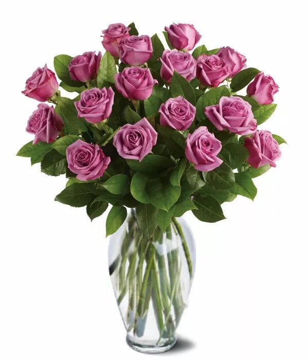 18 Lavender Roses - Mother's Day Flowers & Gifts - Bloomex Australia
