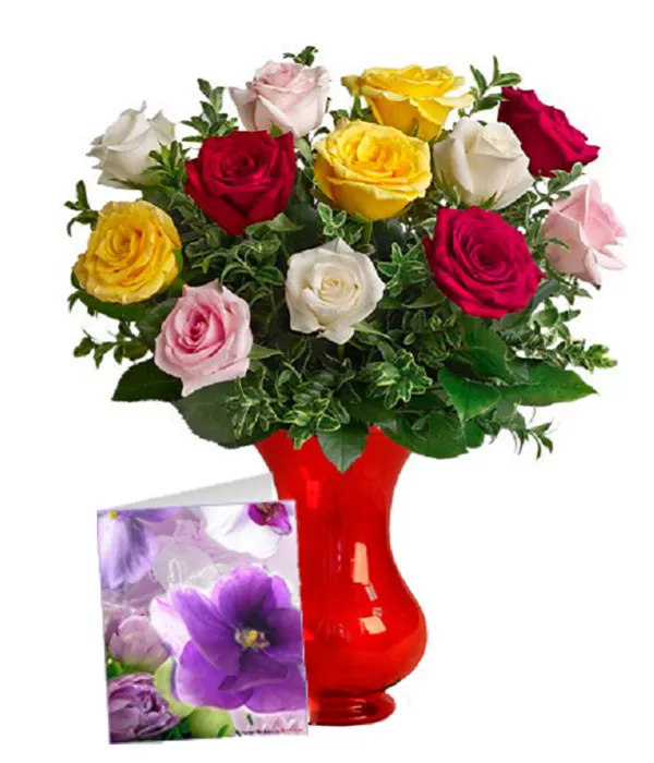 Dozen Assorted Roses & Card - Mother's Day Flowers & Gifts - Bloomex Australia
