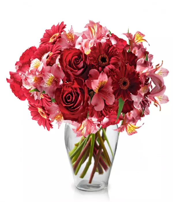 Wild Berry - Autumn Collection - Bloomex Australia