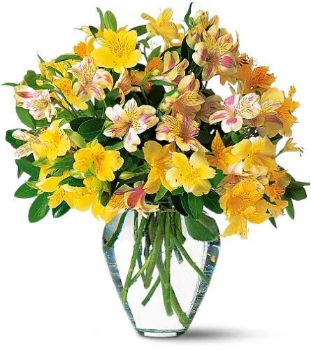 Yellow Alstromeria - Alstroemeria - Bloomex Australia
