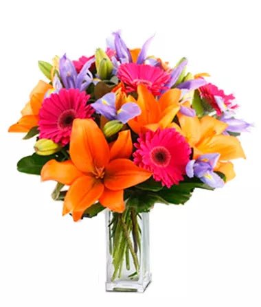 Summer Blooms - Friend's Birthday - Bloomex Australia
