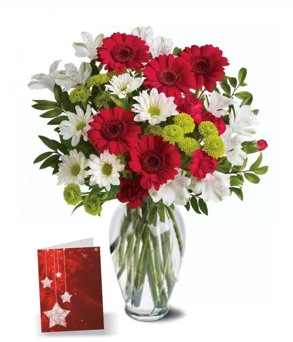 Christmas Bells I - Christmas Bouquets - Bloomex Australia