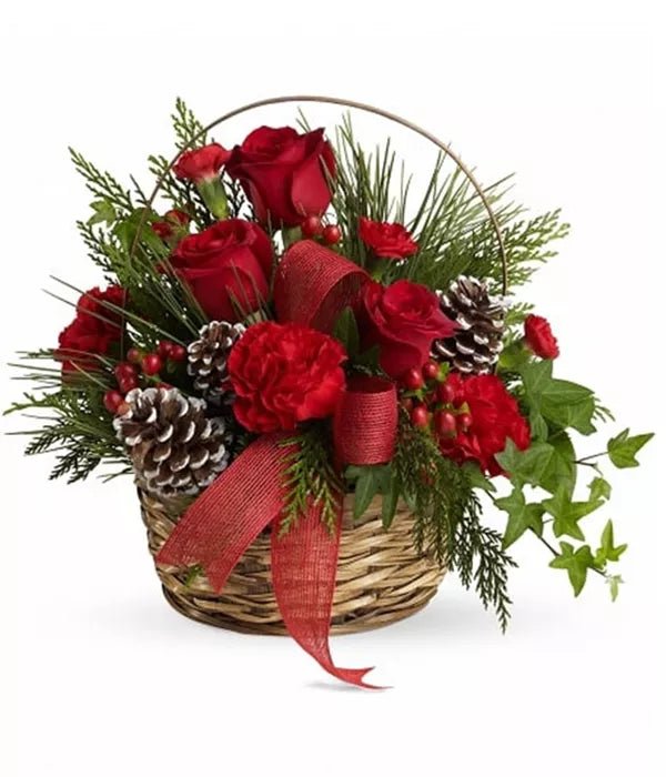 Christmas Glory - Bloomex Australia