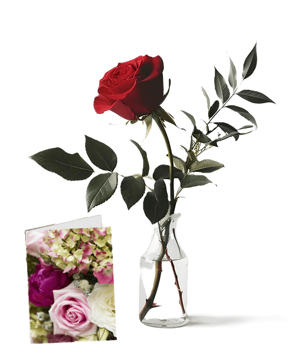 Crimson Kiss - Roses - Bloomex Australia