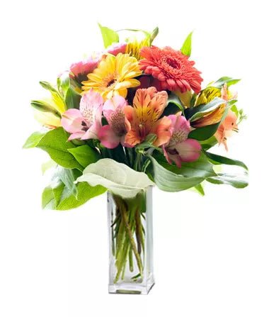 Gerberomeria - Birthday Flowers & Gifts - Bloomex Australia