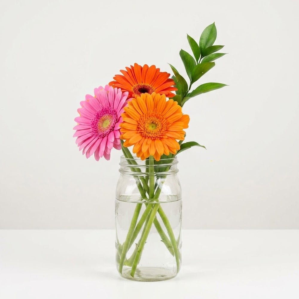 Gerbera Daisies in Mason Jar - The Mason Jar Collection - Bloomex Australia