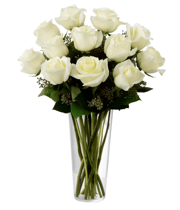 Dozen White Roses - Roses - Bloomex Australia