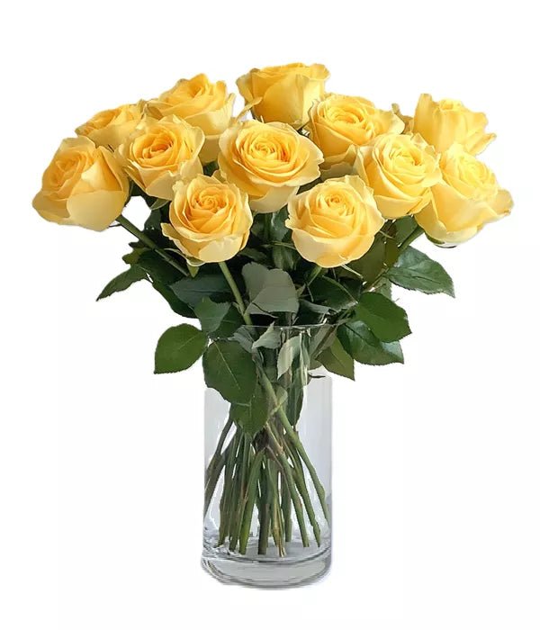 Dozen Yellow Roses - Roses - Bloomex Australia