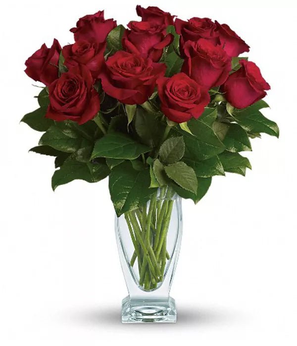 One Dozen Premium Red Roses - Anniversary Flowers - Bloomex Australia