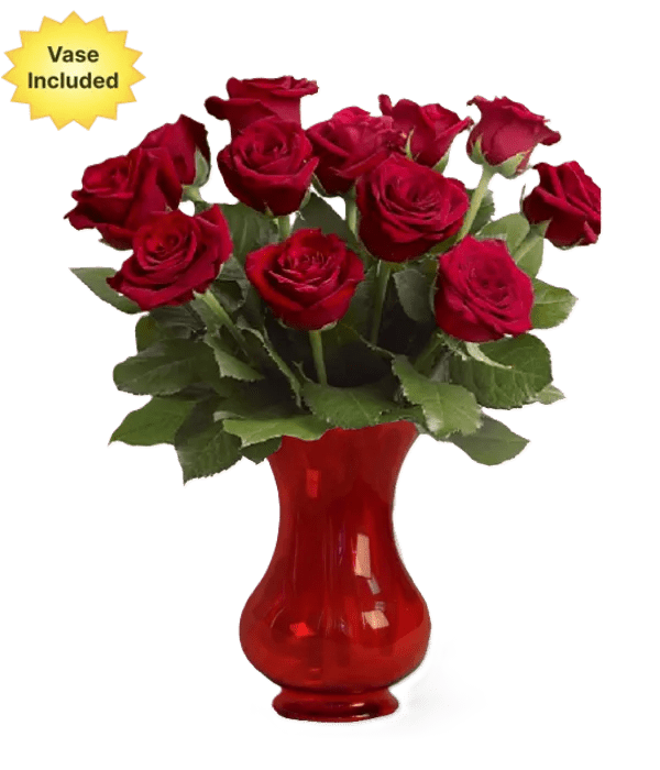Dozen Red Roses with Vase - Roses - Bloomex Australia