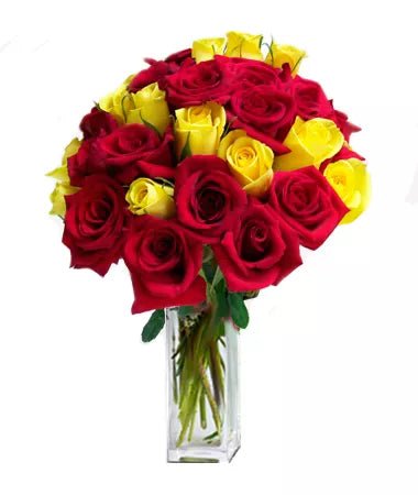 24 Red and Yellow Roses - Roses - Bloomex Australia