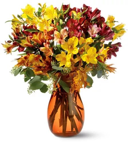 Alstroemeria Brights - Alstroemeria - Bloomex Australia