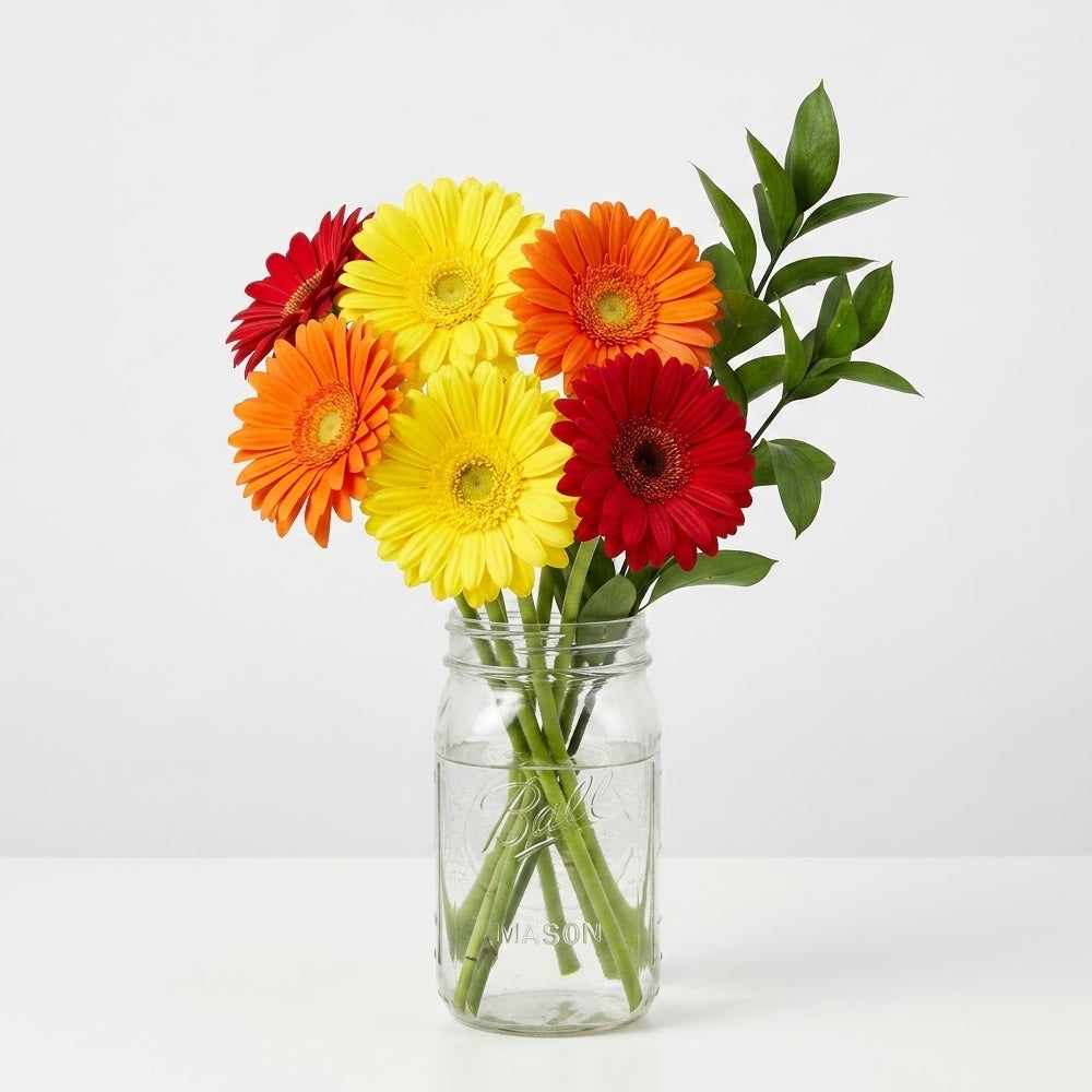 Gerbera Daisies in Mason Jar