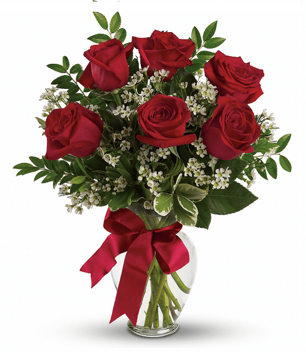 Half Dozen Red Roses - Roses - Bloomex Australia
