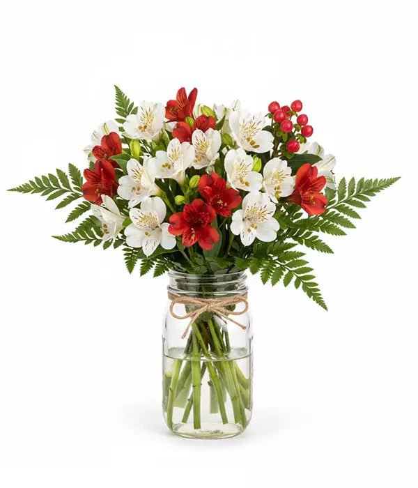 100 Blooms of Holiday Alstroemeria in Mason Jar - Bloomex Australia