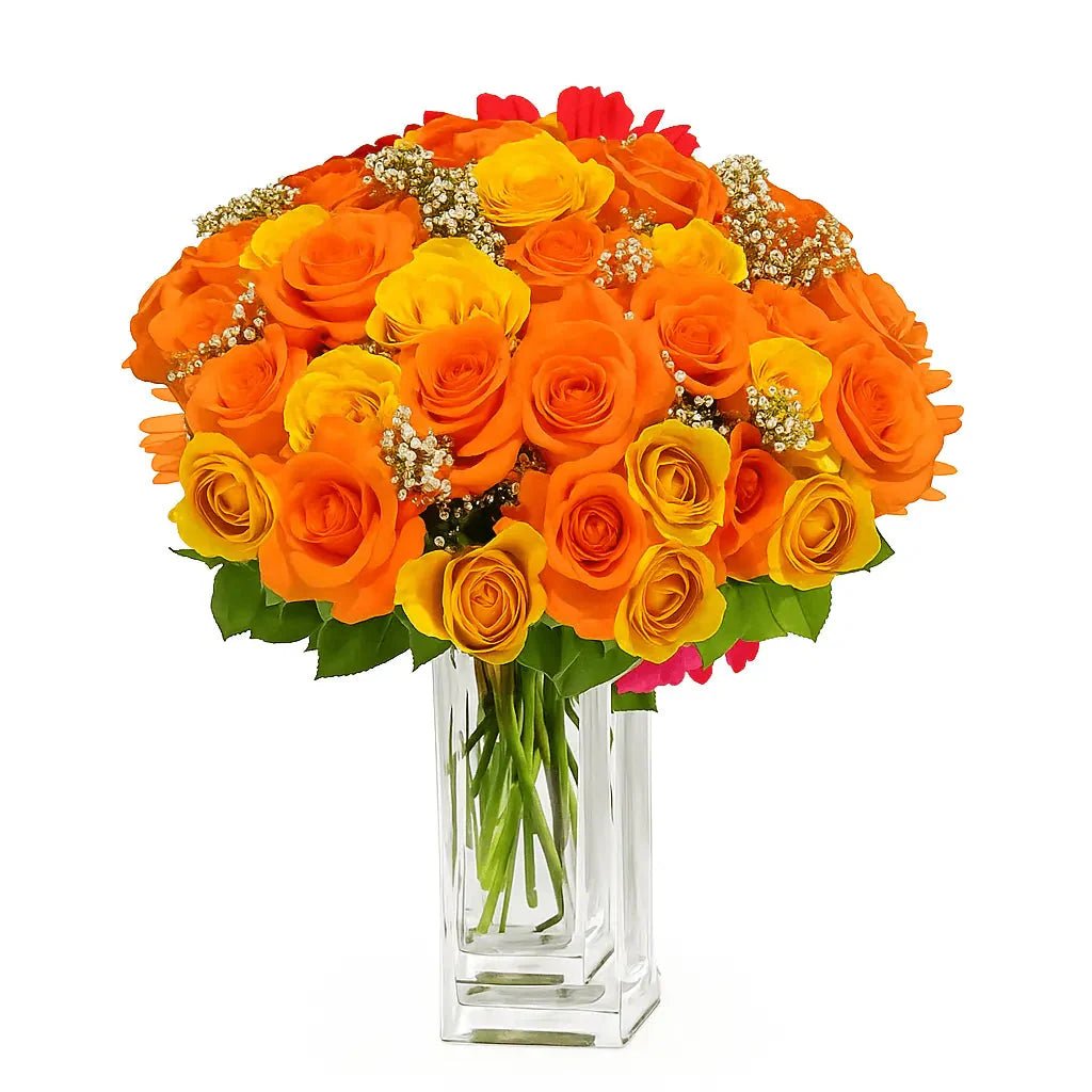 Three Dozen Long Stemmed Orange Roses - Roses - Bloomex Australia