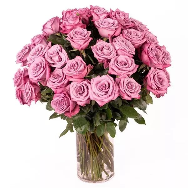 Three Dozen Long Stem Pink Roses - Roses - Bloomex Australia