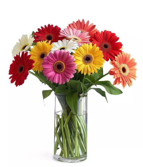 Rainbow Gerberas - Birthday Flowers & Gifts - Bloomex Australia