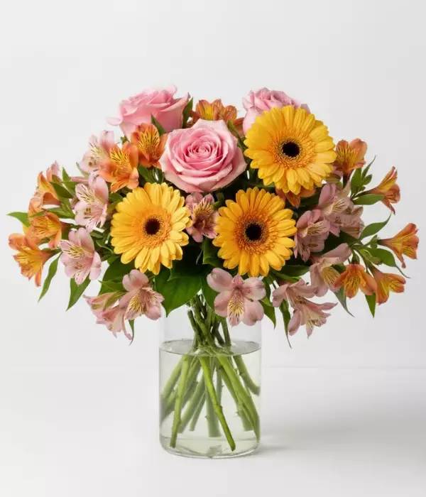 Shining Sunrise - Flowers - Bloomex Australia