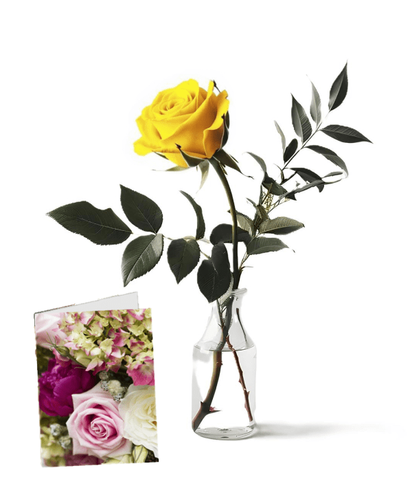 Sunny Smile - Anniversary Flowers - Bloomex Australia