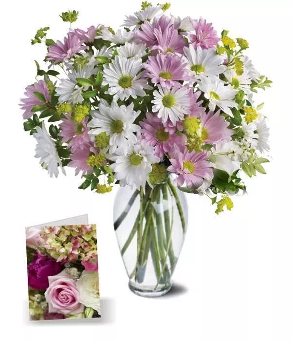 Sweet Blossoms Collection I - Sweet Blossoms Collection - Bloomex Australia