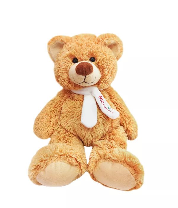 Teddy Bear - Teddy Bear - Bloomex Australia
