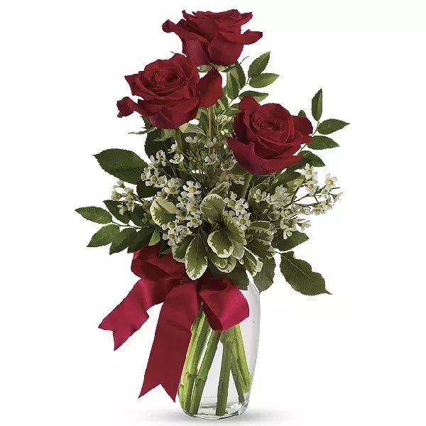 Radiant Roses - Roses - Bloomex Australia