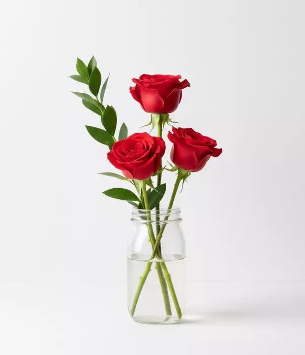 Touch Of Red Roses - Sympathy & Funeral Flowers - Bloomex Australia
