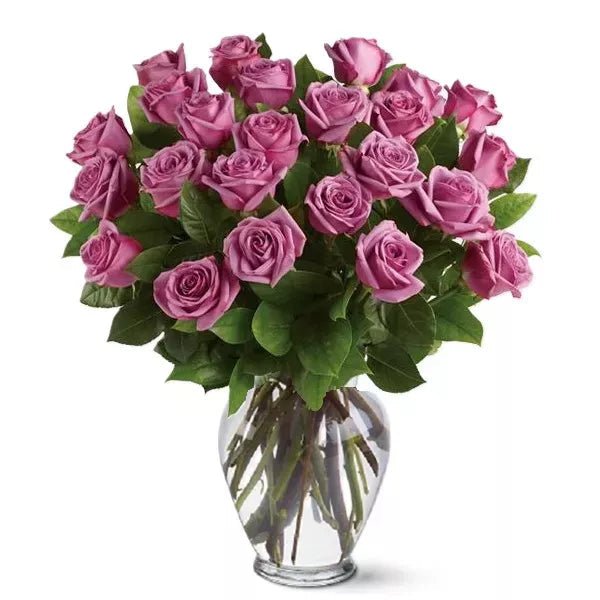 Two Dozen Long Stem Lavender Roses - Roses - Bloomex Australia